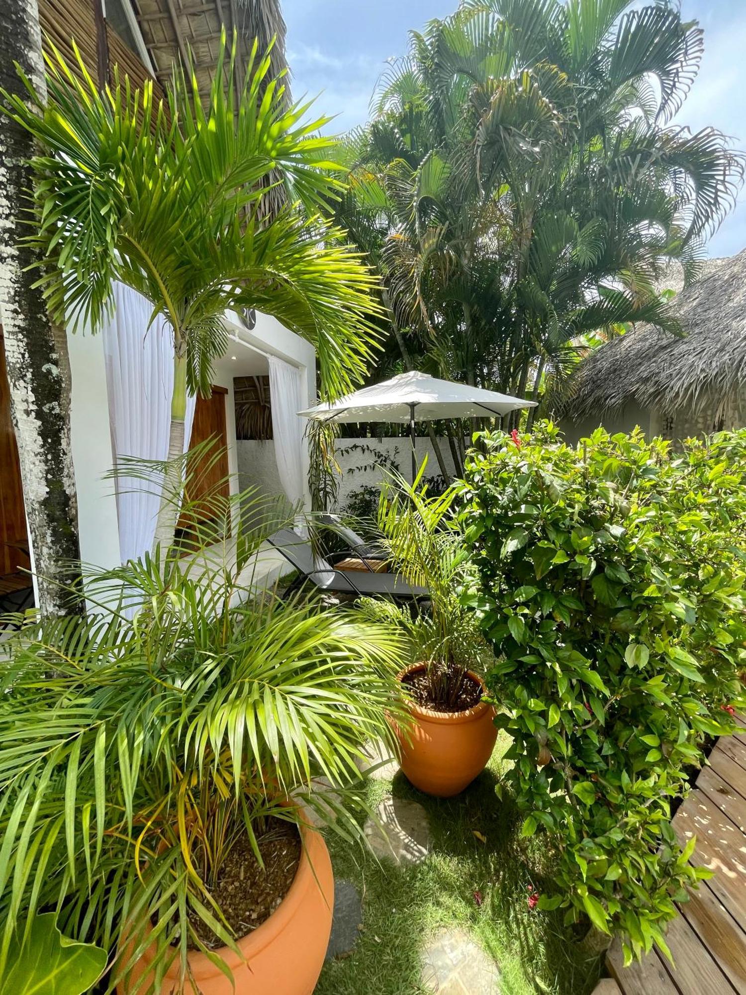 Leeloo Boutique Hotel Las Terrenas Exterior photo